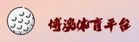 使用指南与常见问题